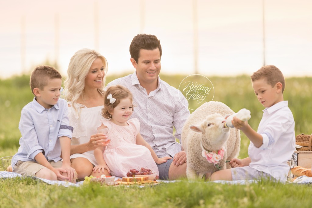Farm Fresh Dream Session | Family Picnic on A Farm Pictures | Farm Themed Photo Shoot | Lamb Photo Shoot | Child Photo Shoot With Farm Animals | Brittany Gidley Photography LLC
