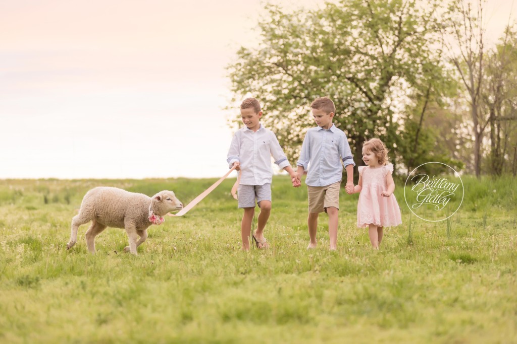 Farm Fresh Dream Session | Family Picnic on A Farm Pictures | Farm Themed Photo Shoot | Lamb Photo Shoot | Child Photo Shoot With Farm Animals | Brittany Gidley Photography LLC