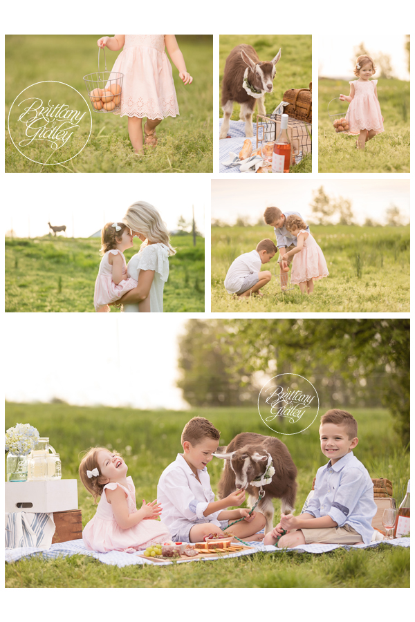 Farm Themed Photo Shoot | Lamb Photo Shoot | Child Photo Shoot With Farm Animals | Brittany Gidley Photography LLC