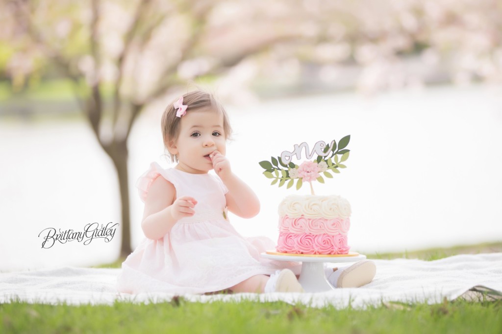 Baby Cake Smash at Cleveland Museum of Art