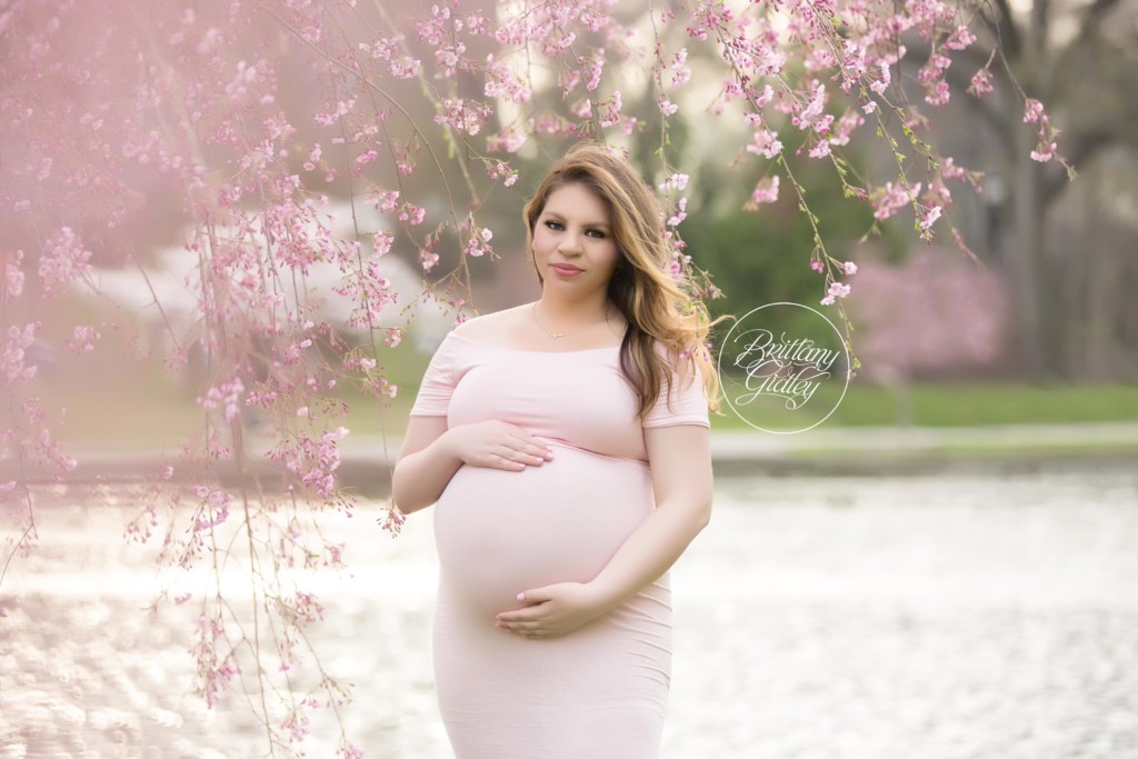 Pregnancy Photographer Cleveland | Cherry Blossoms Maternity | Cleveland Museum of Art | Mother Only Maternity Pictures