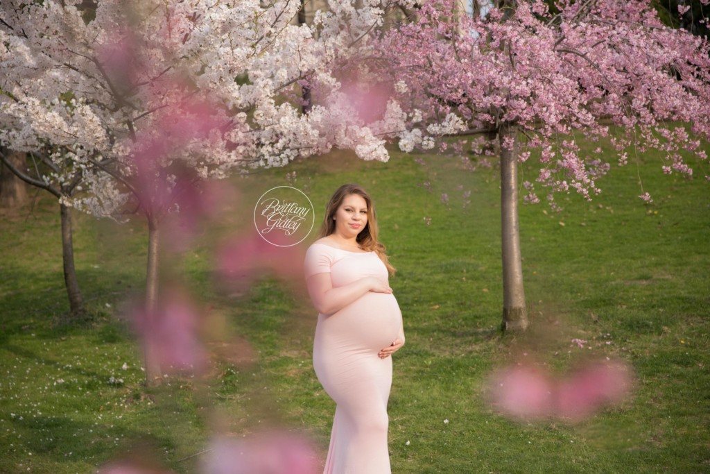 Pregnancy Photography in Cleveland Ohio | Cherry Blossoms Maternity | Cleveland Museum of Art | Mother Only Maternity Pictures