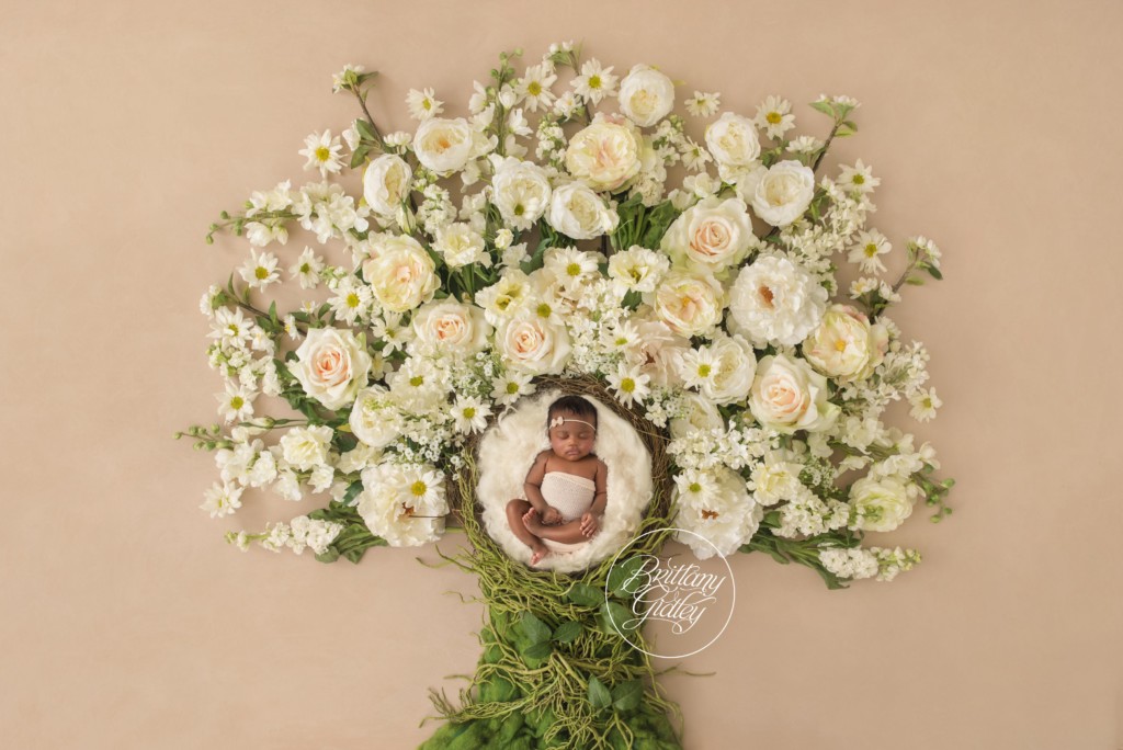 Celebrity Baby Photography | Cleveland Cavaliers | Celebrity Babies | Start With The Best | Cleveland Ohio Newborn Photography | Cleveland Newborn Photographer | www.brittanygidleyphotography.com 