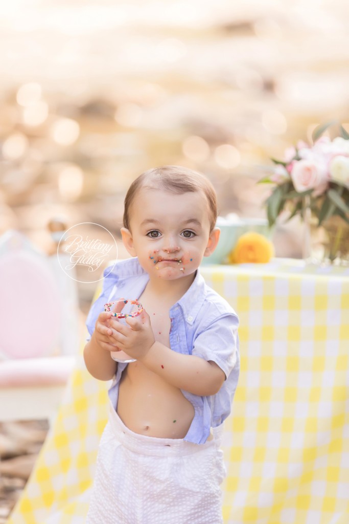 Ice Cream Themed Photography Set | Dream Sessions by Brittany Gidley Photography | Ice Cream Social