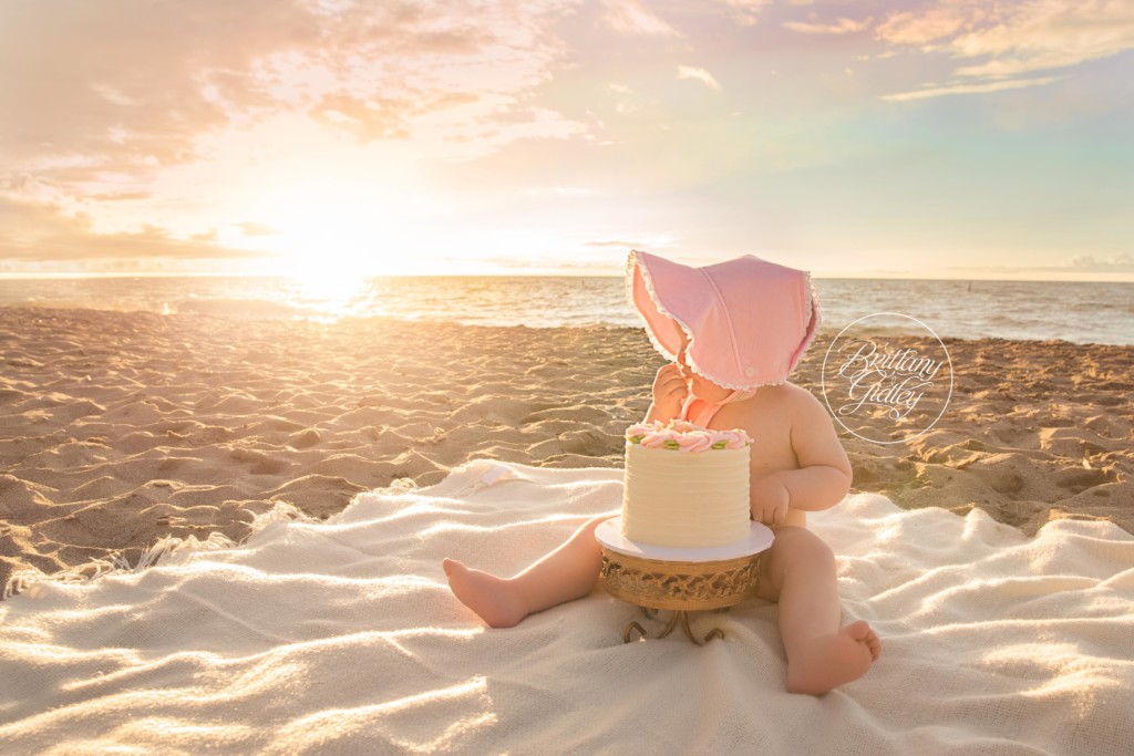 12 Month Baby Photos with Family | Edgewater Beach Photo Shoot | Family Photo Shoot in Cleveland Ohio