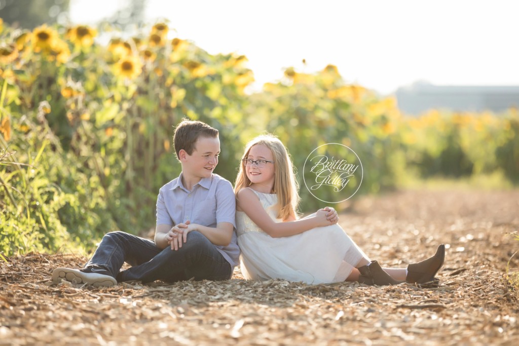 Avon Ohio Sunflower Field