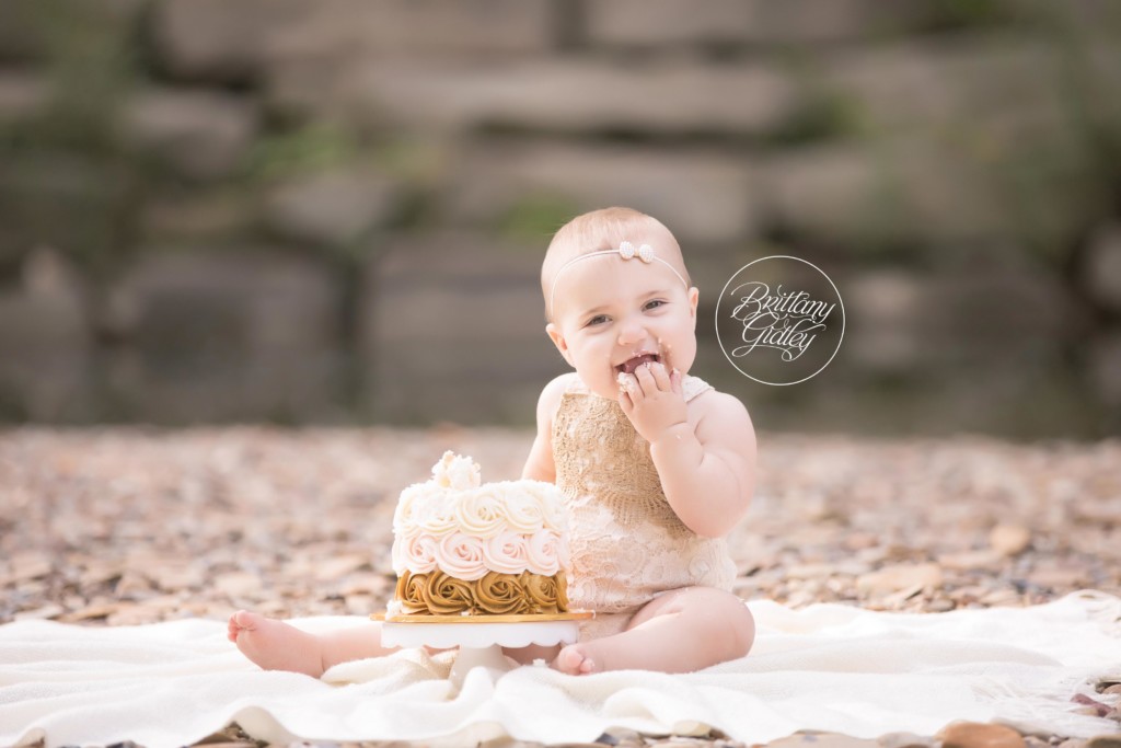 Cake Smash Photographers | Claire 12 Months | Brecksville Reservation