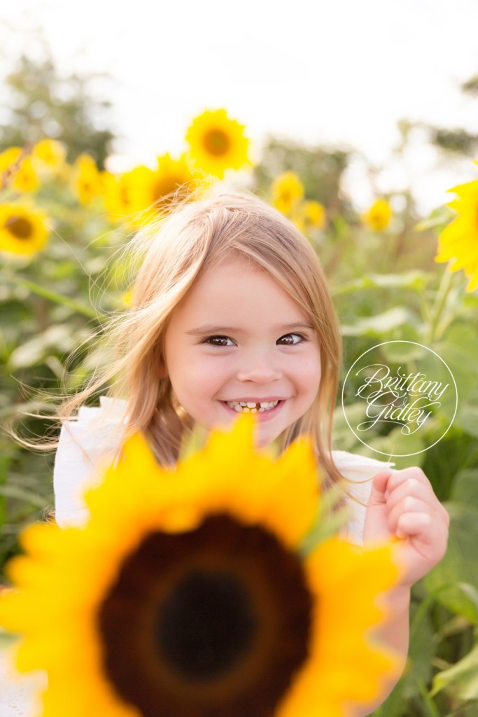 Cleveland Sunflower Field Photographer | The Scheel Family | Prayers From Maria Sunflower Field