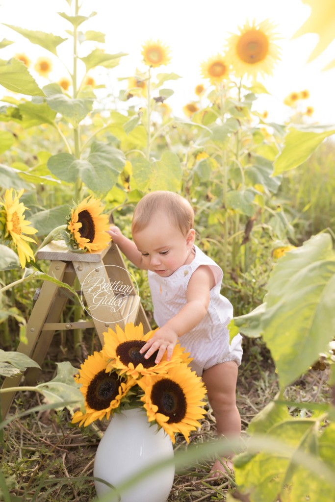 Cleveland Sunflower Field Photographer | The Scheel Family | Prayers From Maria Sunflower Field