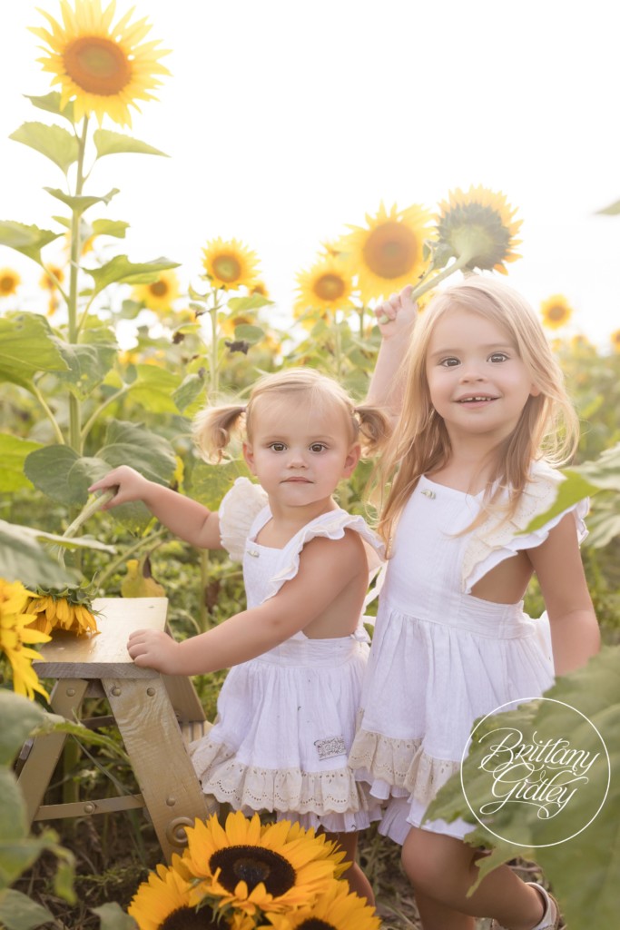 Cleveland Sunflower Field Photographer | The Scheel Family | Prayers From Maria Sunflower Field