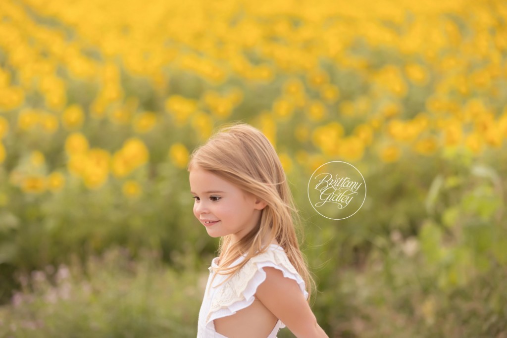 Cleveland Sunflower Field Photography | Prayers From Maria Sunflower Field