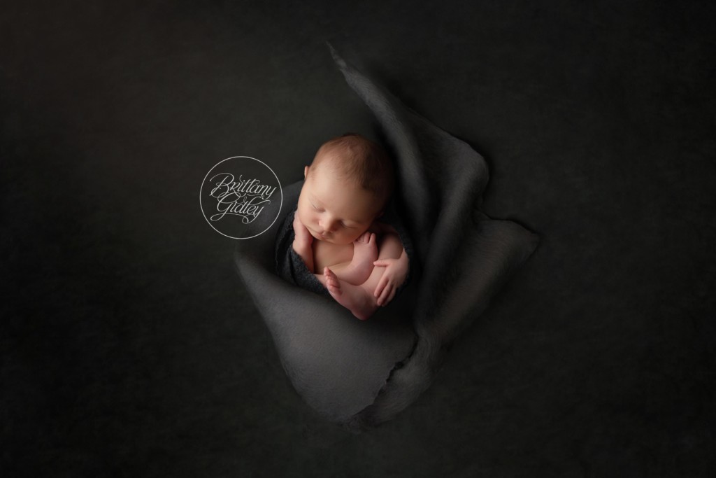 Best Newborn Composites | Composite Images | Dream Big Little Felix Newborn Dream Session
