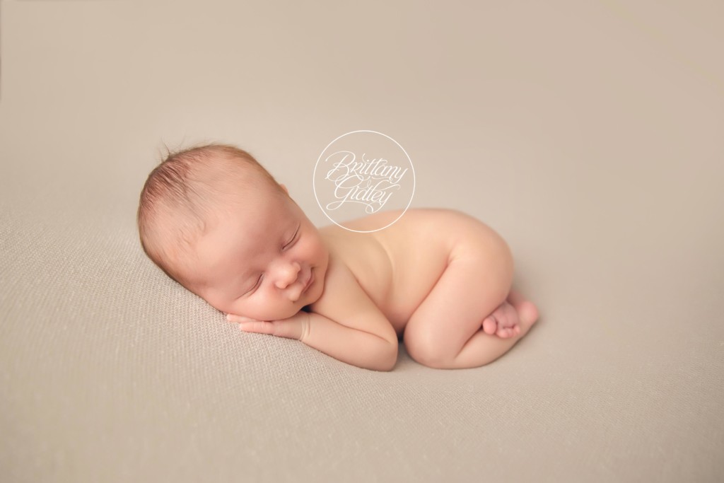 Best Newborn Composites | Composite Images | Dream Big Little Felix Newborn Dream Session