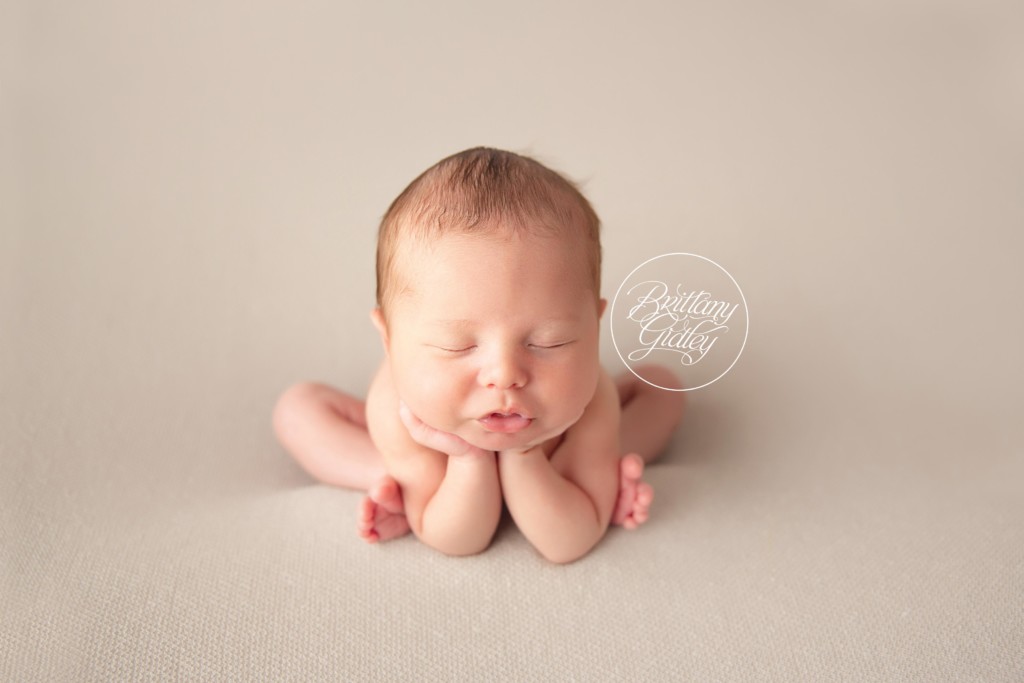 America's Best Newborn Photographers