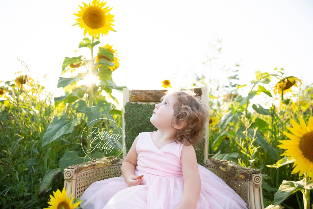Fall Baby Photographer | Gabby 2 Years | Prayers From Maria Sunflowers