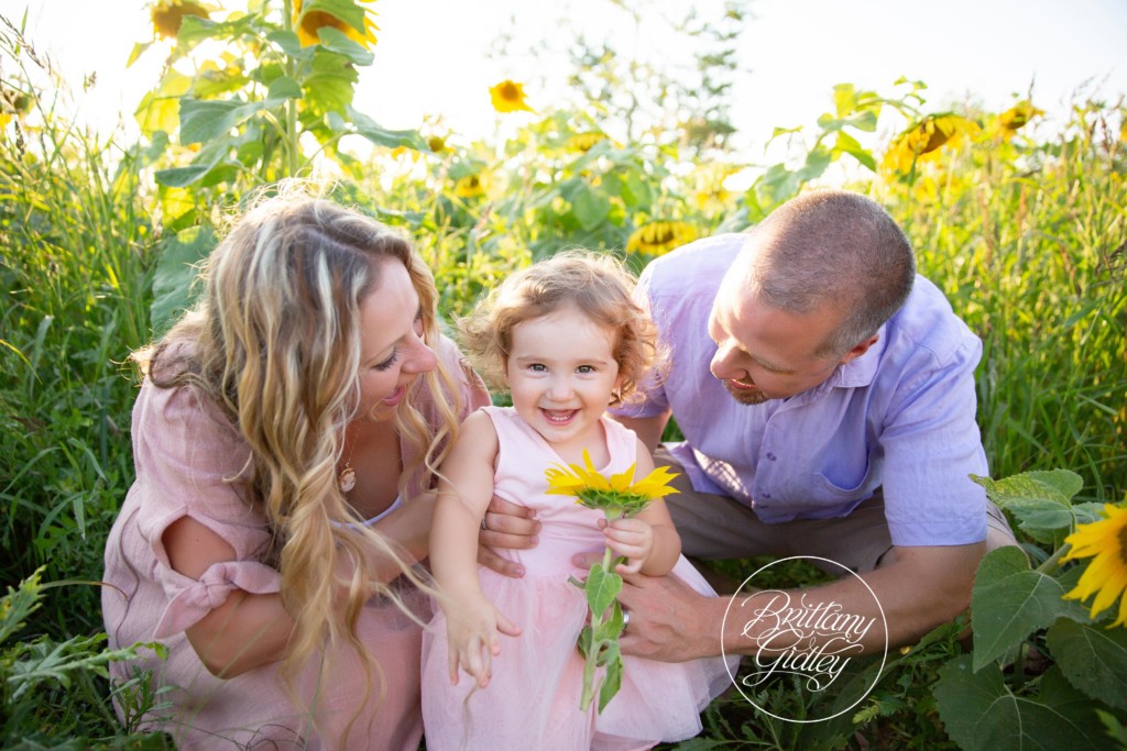 Fall Family Photographer | Gabby 2 Years | Prayers From Maria Sunflowers