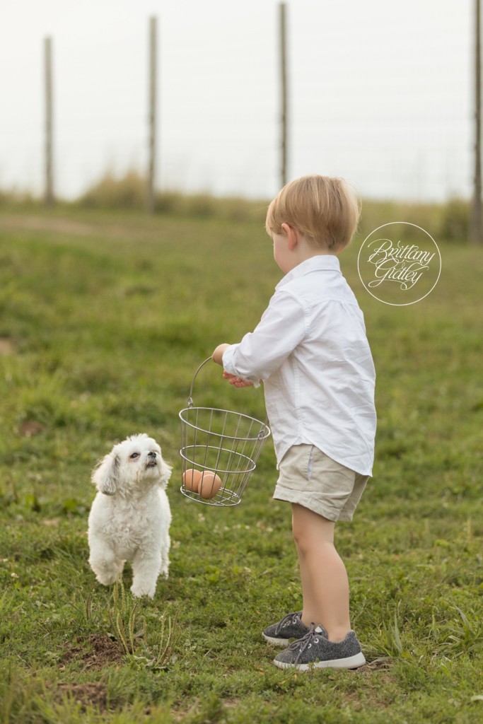 Family Pictures on a Farm
