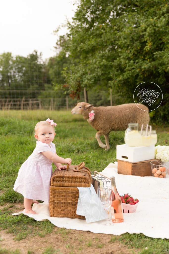 Little Lamb Dream Session | Farm Themed Photo Shoot
