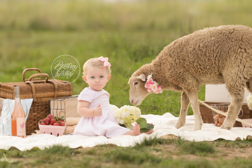 Little Lamb Dream Session | Farm Themed Photo Shoot