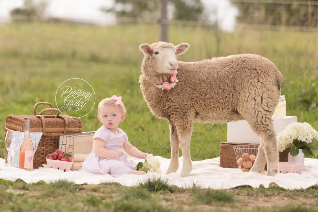 Baby and Lamb Photo Shoot | Mini Session Inspiration