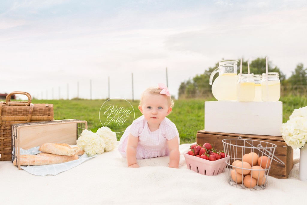 Picnic Photo Shoot 12 Month Baby
