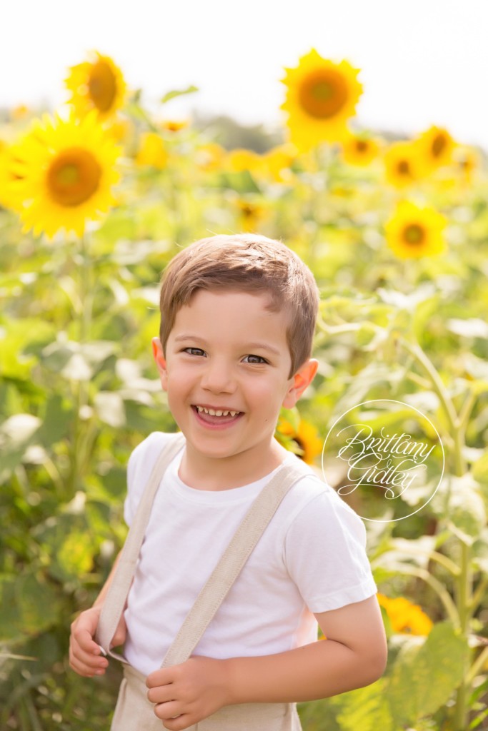 Prayers For Maria | Tessa 12 Months | Prayers From Maria Sunflower Field