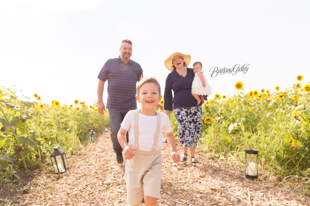 Prayers For Maria | Tessa 12 Months | Prayers From Maria Sunflower Field