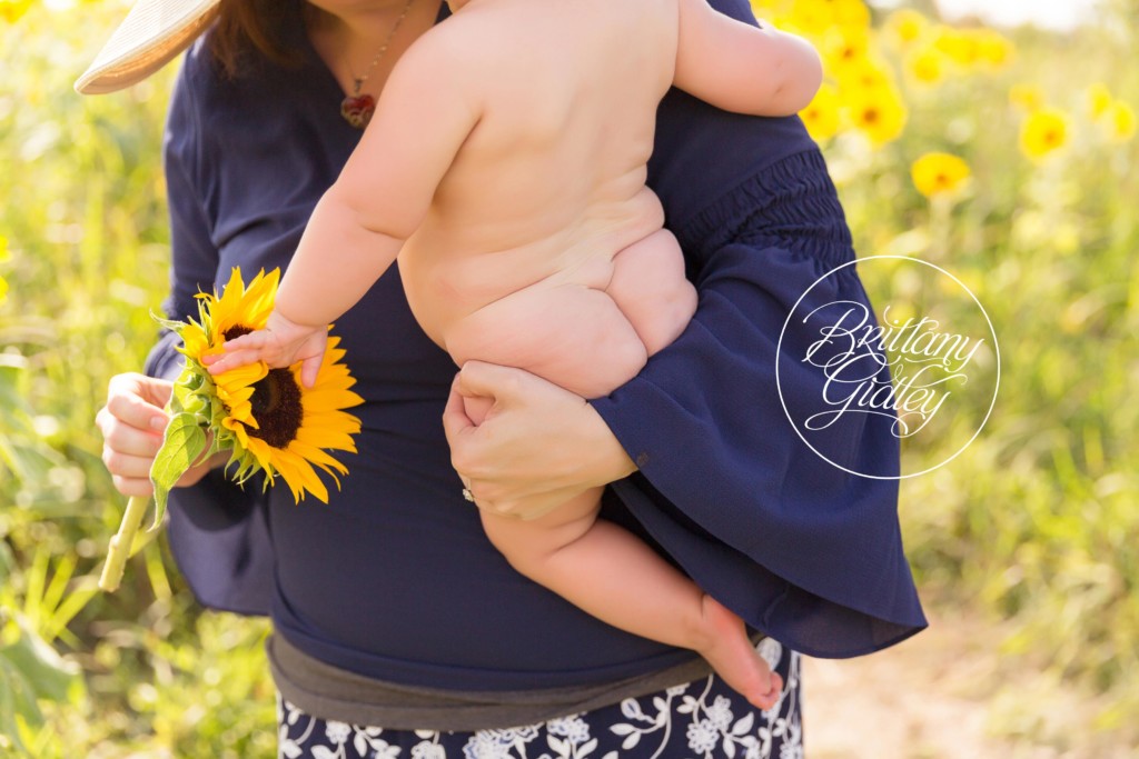 Prayers From Maria Sunflower Field