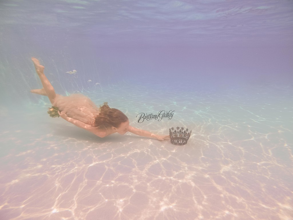 Under The Sea | Underwater Photography