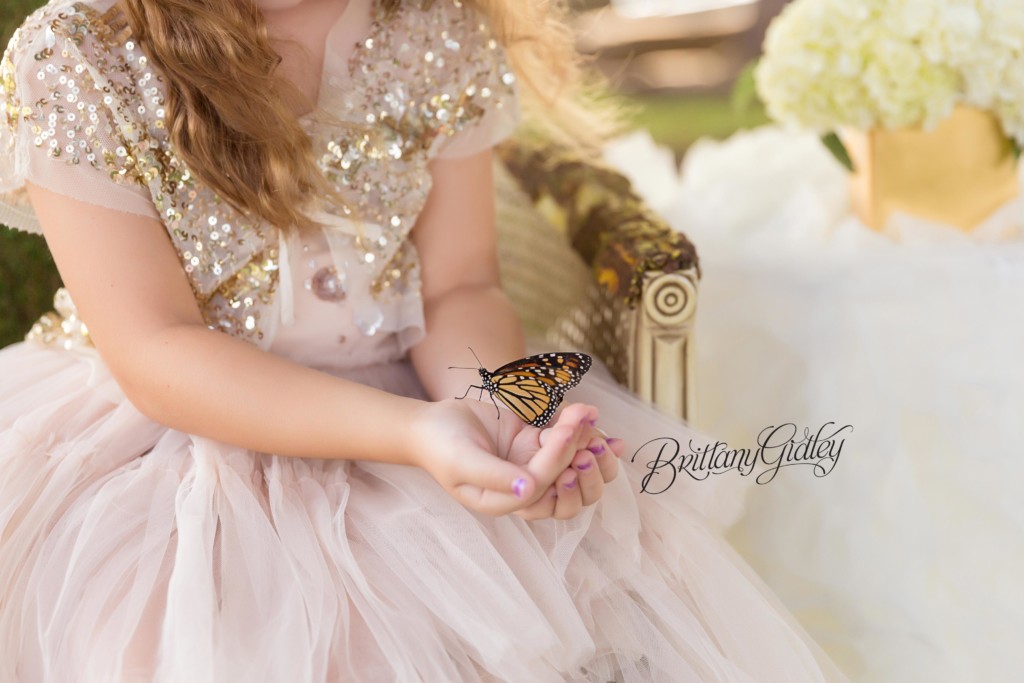 Butterfly Photo Shoot | Butterfly Dreams Dream Session | Brittany Gidley Photography LLC