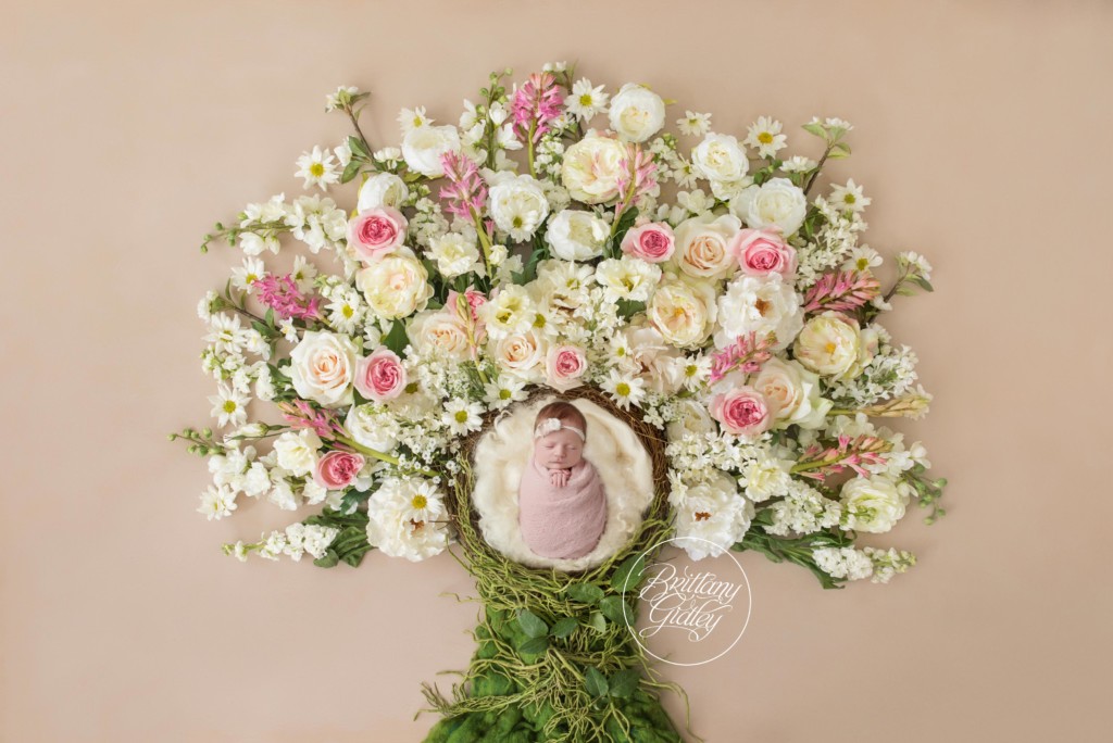 Best Newborn Photographer | Newborn Photography Cleveland Ohio