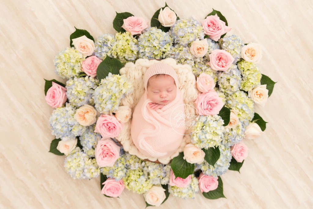 Floral Newborn Photo Shoot Dream Session