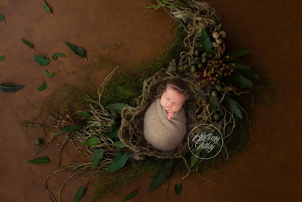 Newborn Dream Session | Best Cleveland Newborn Photographer