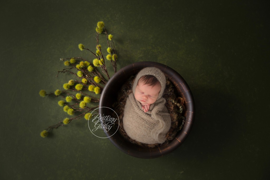 Best Cleveland Newborn Photographer