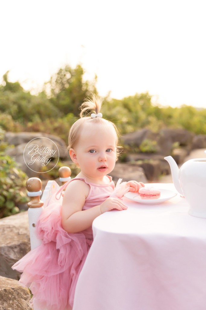 Tea Party Photo Shoot Dream Session | Avery 12 Months | Edgewater Beach