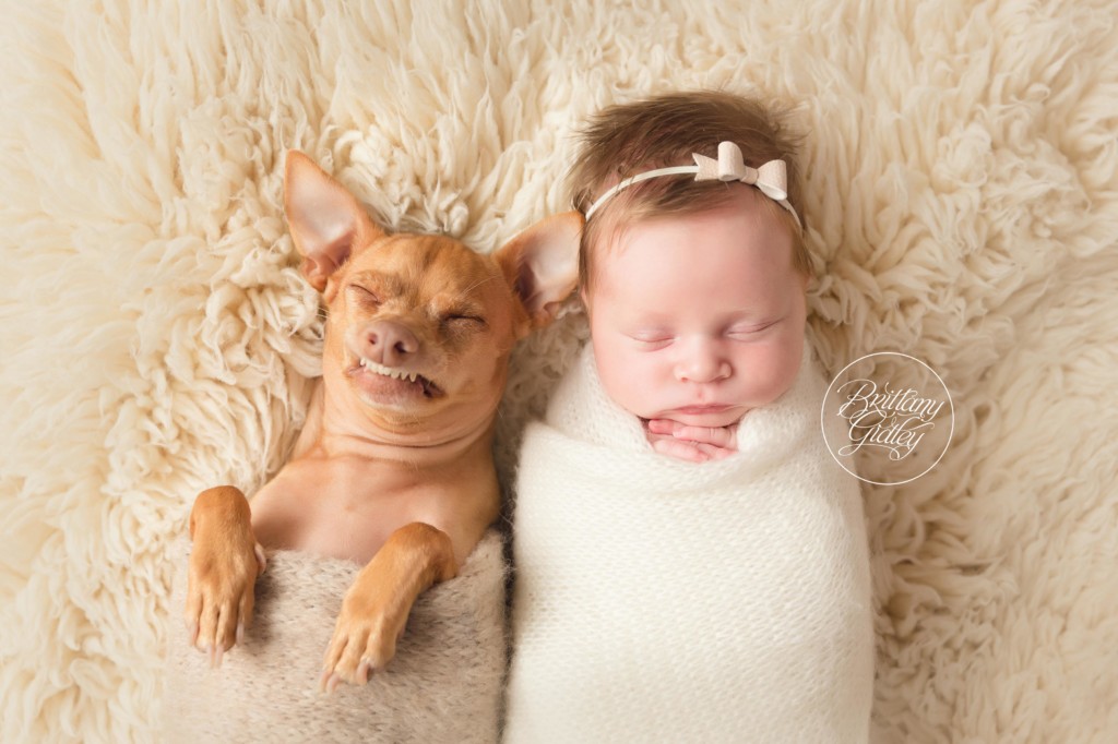 Tuna Melts My Heart Newborn Photo Shoot
