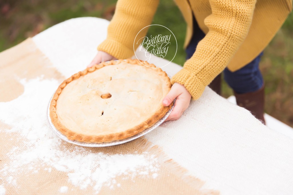 Apple Pie Photo Shoot | Autumn Skies & Apple Pies Dream Session | Orchard Hills Park