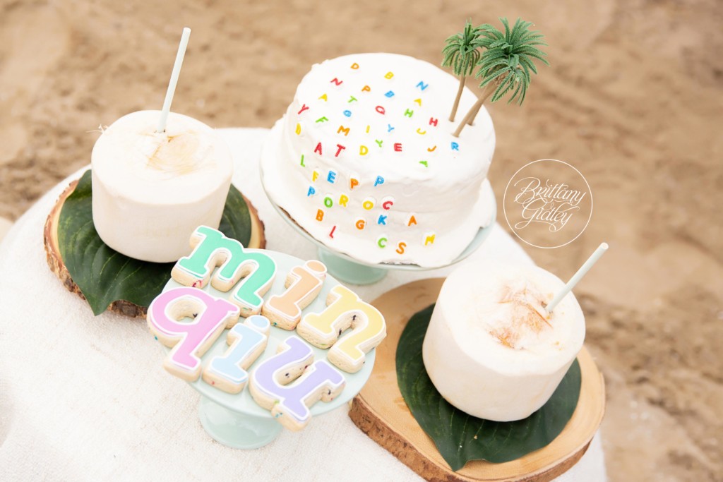 Chicka Chicka Boom Boom Dream Session | Chicka Chicka Boom Boom Cake Smash