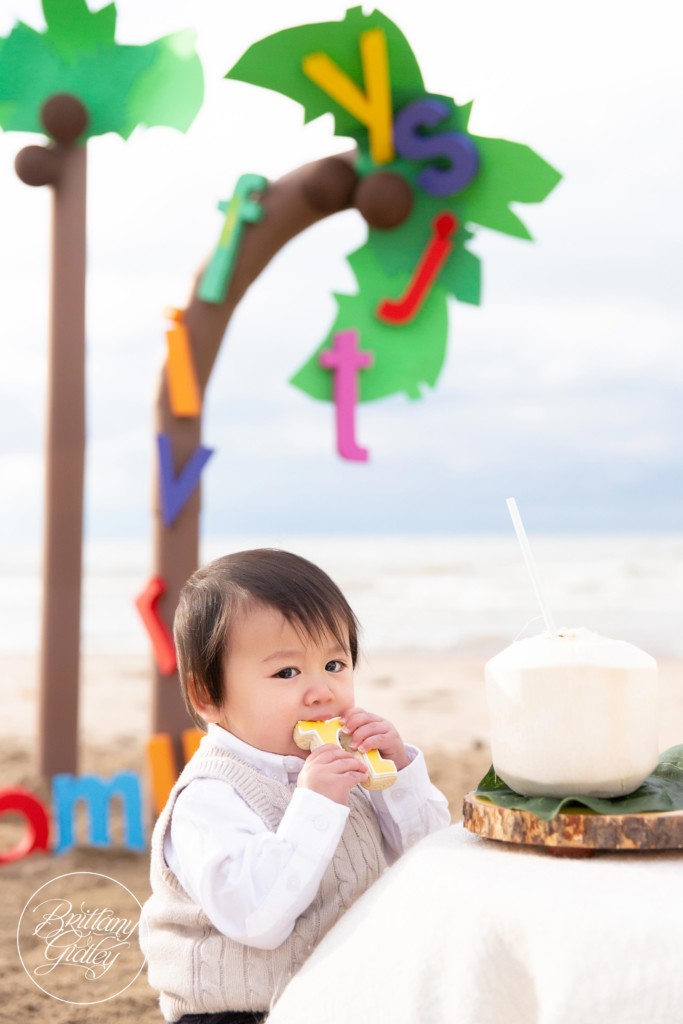 Chicka Chicka Boom Boom Party | DIY Coconut Trees