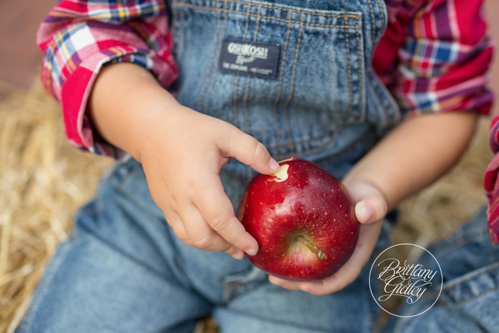 Covered Bridge Family Photos | The Hoops Family | Fortier Park