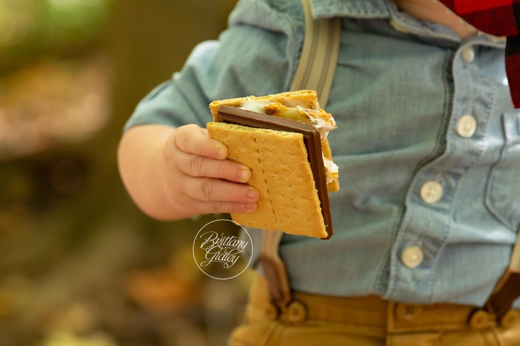 Baby S'Mores Themed Photo Shoot