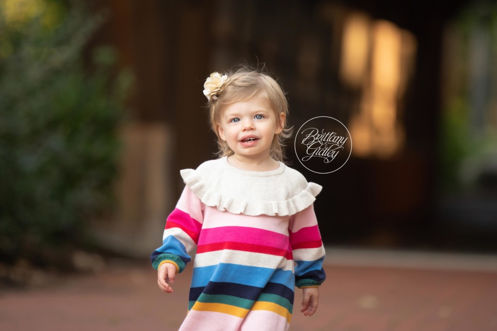 Olmsted Falls Baby Photographer | Toddler Photography | David Fortier Park