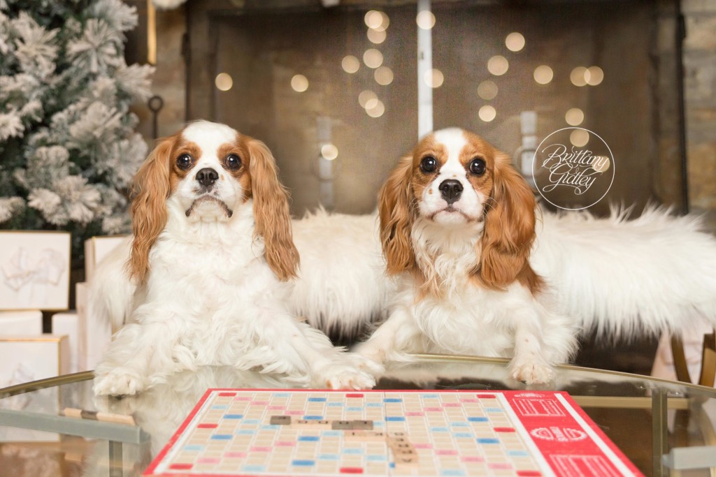Après Ski Lodge Party Photo Shoot Ideas | Scrabble