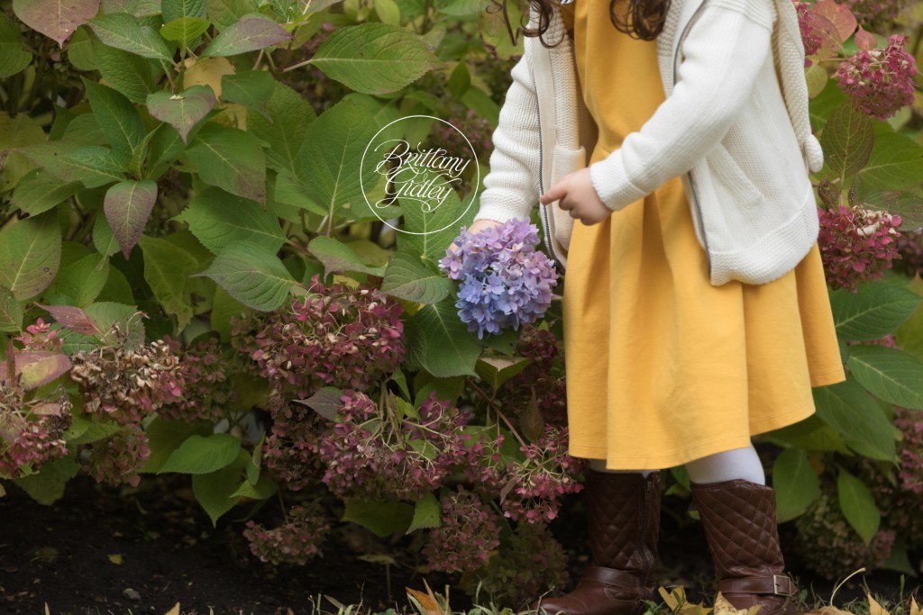 Cleveland Ohio Family Photographer
