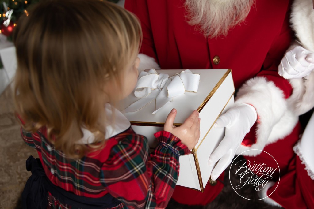Christmas Magic Child Photo Shoot | Brittany Gidley Photography