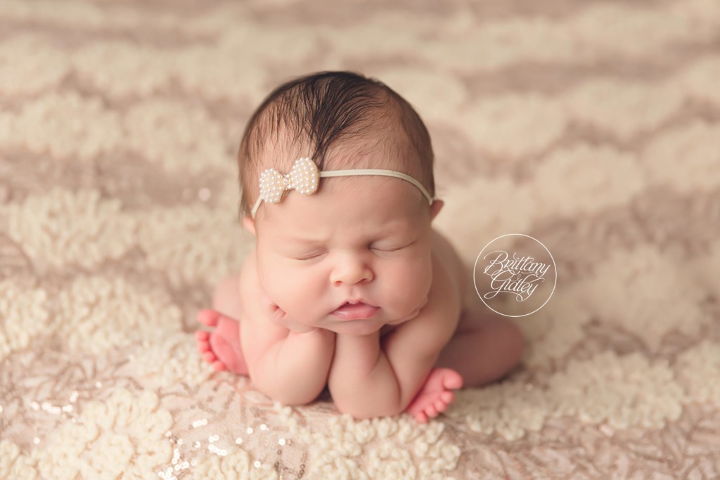 Christmas Newborn