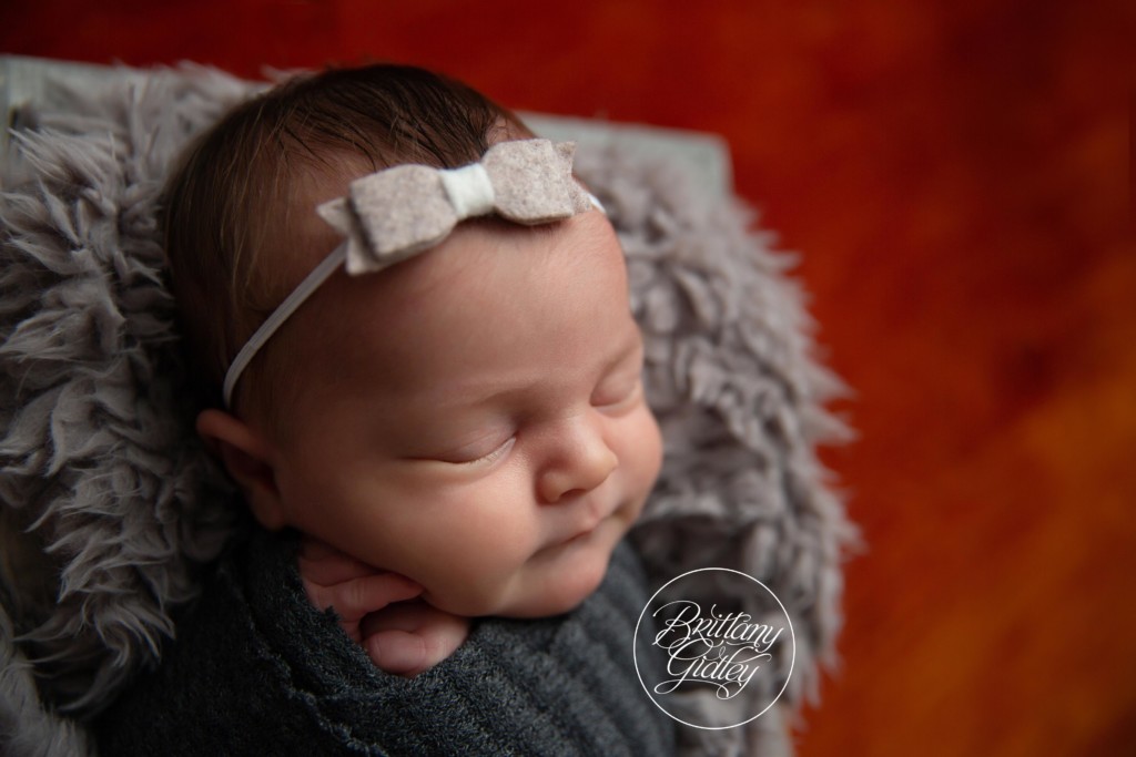 Christmas Themed Newborn Photo Shoot