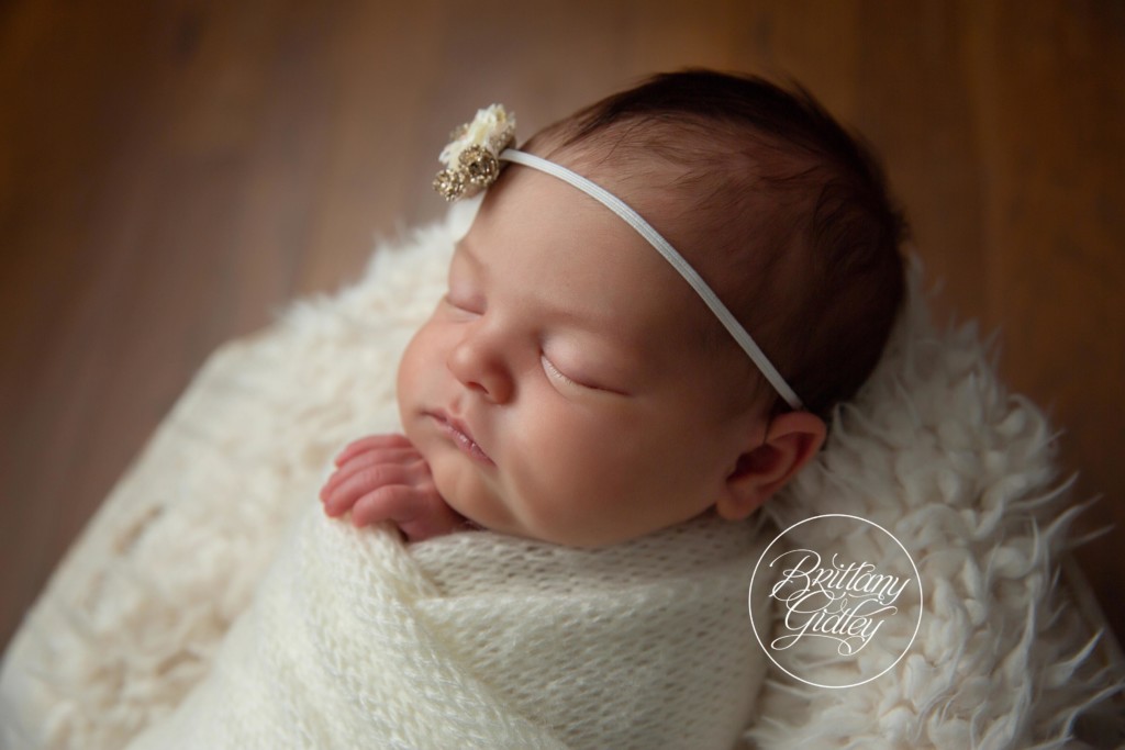 Christmas Themed Newborn Photo Shoot