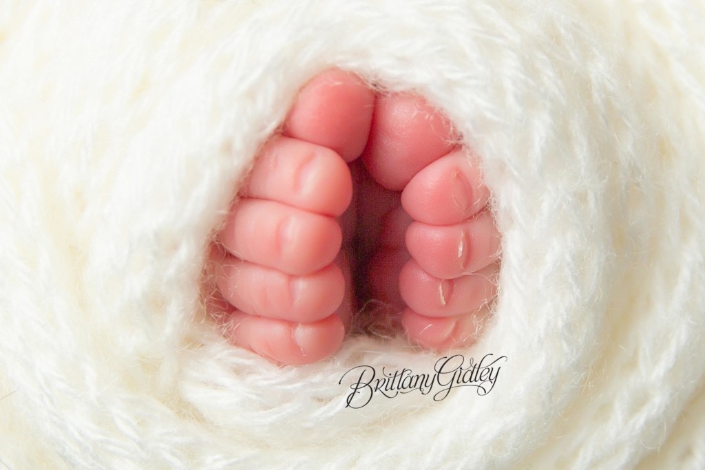 Holiday Themed Newborn Photo Shoot