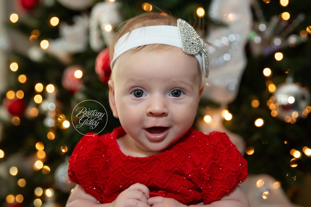 Christmas Tree Photography